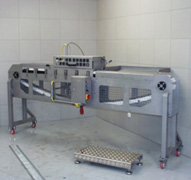 STEEN ST504 Eel slaughter machine